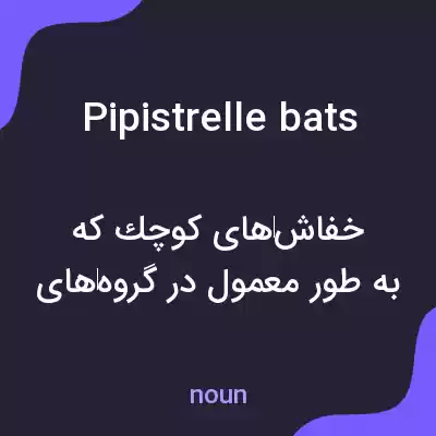 معنی pipistrelle bats به فارسی معنی pipistrelle bats به فارسی