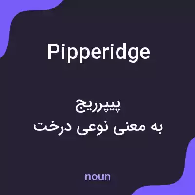 معنی pipperidge به فارسی معنی pipperidge به فارسی