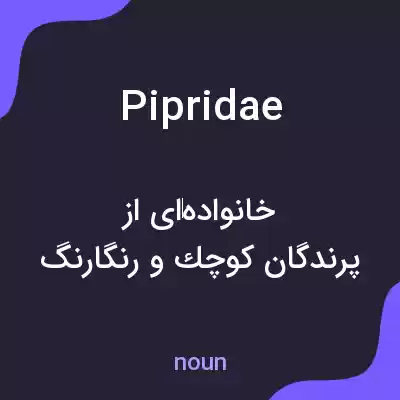 معنی pipridae به فارسی معنی pipridae به فارسی