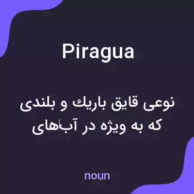 معنی piragua به فارسی