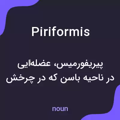 معنی piriformis به فارسی معنی piriformis به فارسی