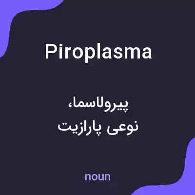 معنی piroplasma به فارسی معنی piroplasma به فارسی