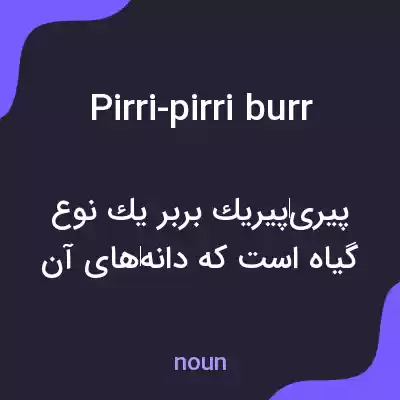 معنی pirri-pirri burr به فارسی معنی pirri-pirri burr به فارسی