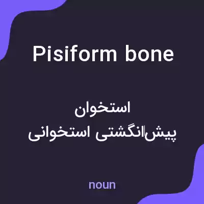 معنی pisiform bone به فارسی معنی pisiform bone به فارسی