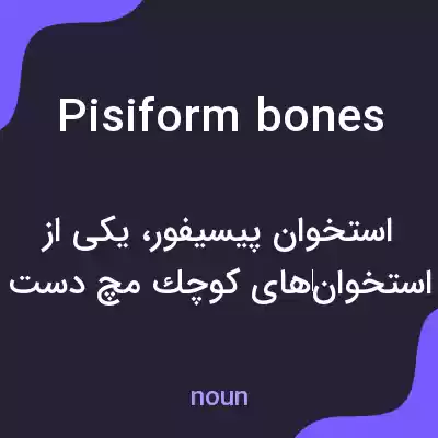 معنی pisiform bones به فارسی معنی pisiform bones به فارسی