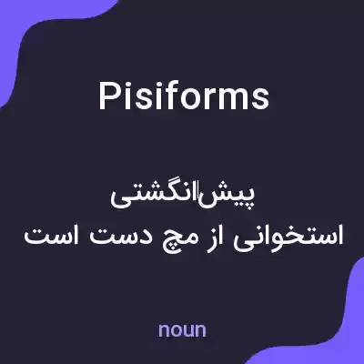 معنی pisiforms به فارسی معنی pisiforms به فارسی