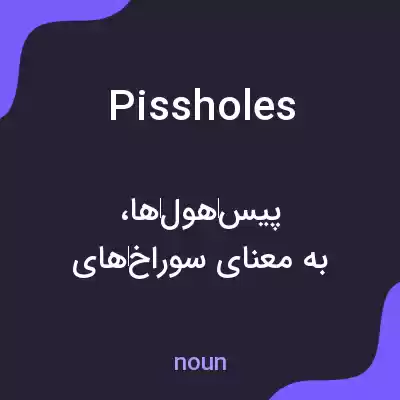 معنی pissholes به فارسی