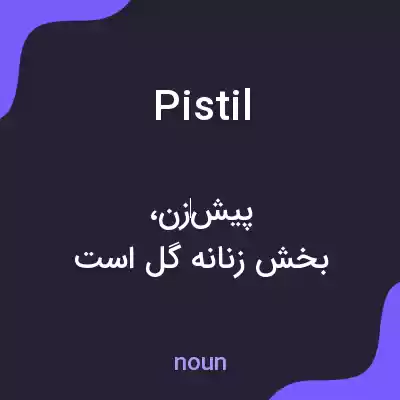 معنی pistil به فارسی معنی pistil به فارسی