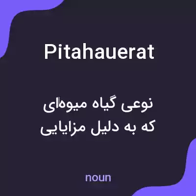 معنی pitahauerat به فارسی
