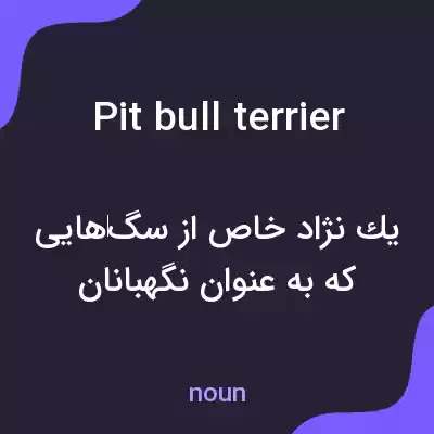 معنی pit bull terrier به فارسی معنی pit bull terrier به فارسی