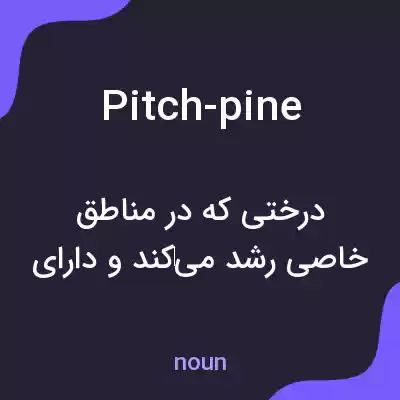 معنی pitch-pine به فارسی معنی pitch-pine به فارسی