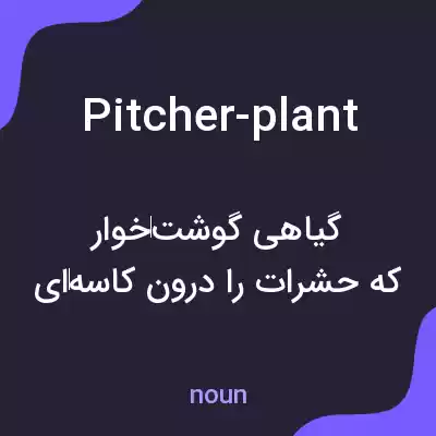 معنی pitcher-plant به فارسی معنی pitcher-plant به فارسی