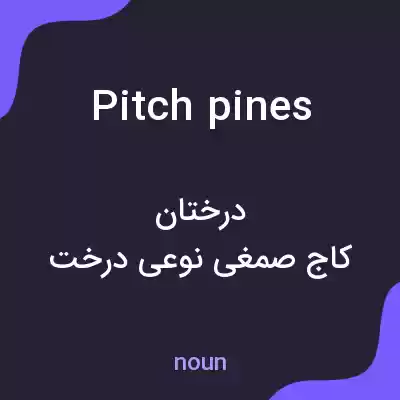 معنی pitch pines به فارسی معنی pitch pines به فارسی