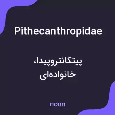 معنی pithecanthropidae به فارسی معنی pithecanthropidae به فارسی