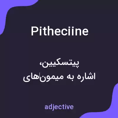 معنی pitheciine به فارسی