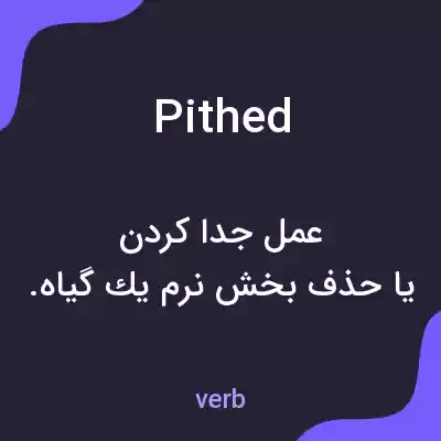 معنی pithed به فارسی معنی pithed به فارسی