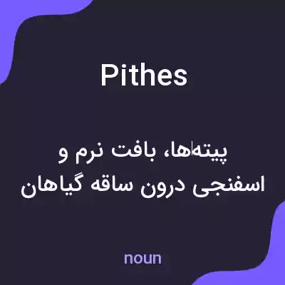 معنی pithes به فارسی معنی pithes به فارسی