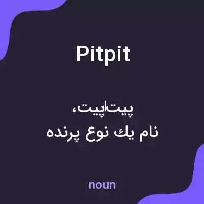 معنی pitpit به فارسی معنی pitpit به فارسی