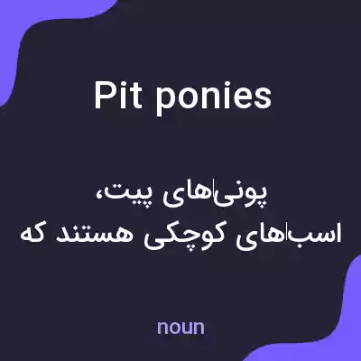 معنی pit ponies به فارسی معنی pit ponies به فارسی