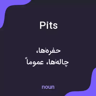 معنی pits به فارسی معنی pits به فارسی