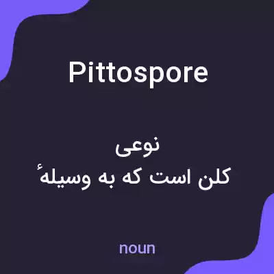 معنی pittospore به فارسی معنی pittospore به فارسی