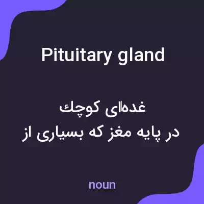 معنی pituitary gland به فارسی معنی pituitary gland به فارسی
