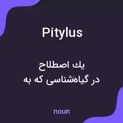 معنی pitylus به فارسی معنی pitylus به فارسی