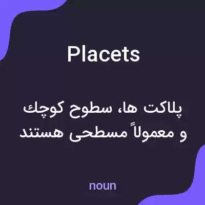 معنی placets به فارسی معنی placets به فارسی