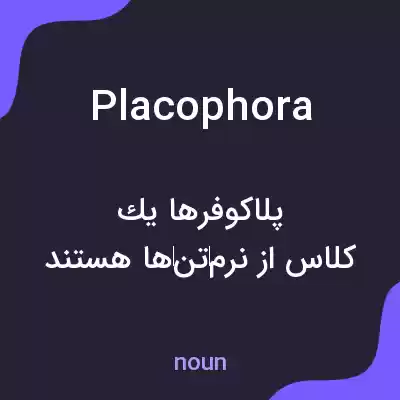 معنی placophora به فارسی معنی placophora به فارسی