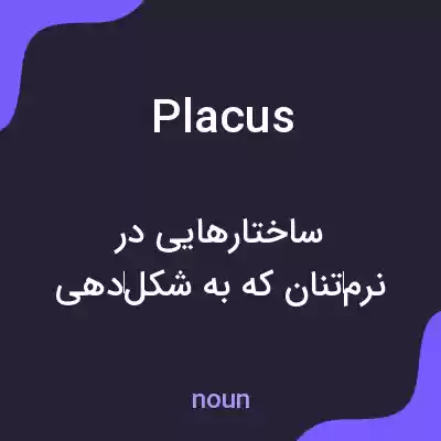 معنی placus به فارسی معنی placus به فارسی