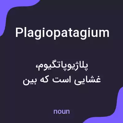 معنی plagiopatagium به فارسی