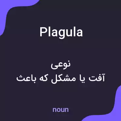 معنی plagula به فارسی معنی plagula به فارسی