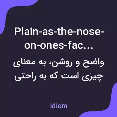 معنی plain-as-the-nose-on-ones-face به فارسی