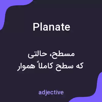 معنی planate به فارسی