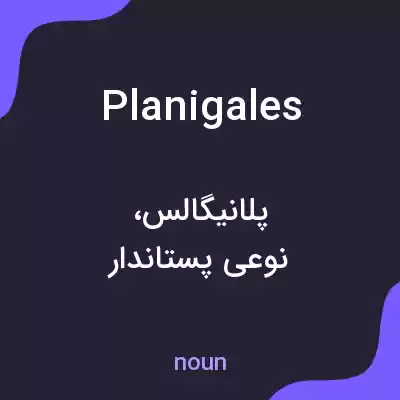 معنی planigales به فارسی