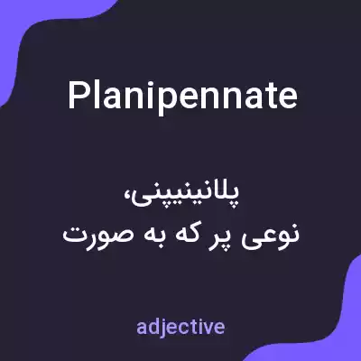 معنی planipennate به فارسی معنی planipennate به فارسی