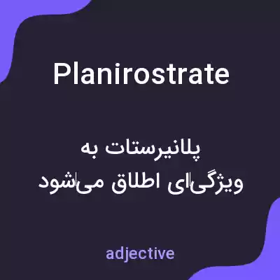معنی planirostrate به فارسی معنی planirostrate به فارسی