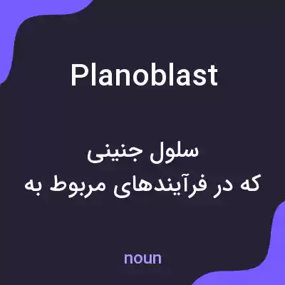 معنی planoblast به فارسی معنی planoblast به فارسی
