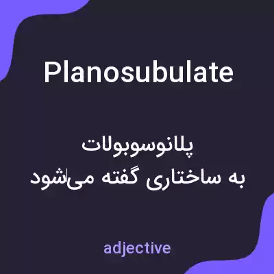 معنی planosubulate به فارسی معنی planosubulate به فارسی