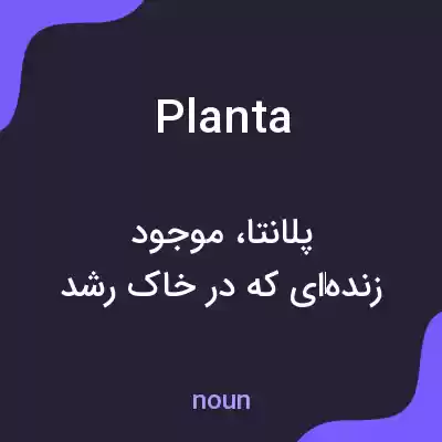 معنی planta به فارسی معنی planta به فارسی