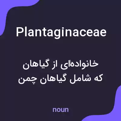 معنی plantaginaceae به فارسی معنی plantaginaceae به فارسی
