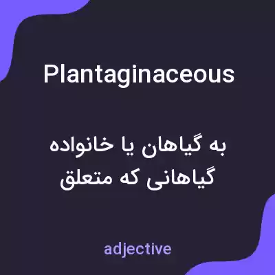 معنی plantaginaceous به فارسی معنی plantaginaceous به فارسی