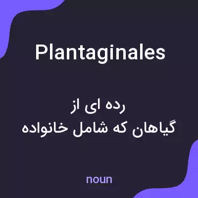 معنی plantaginales به فارسی معنی plantaginales به فارسی