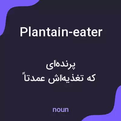 معنی plantain-eater به فارسی