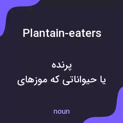 معنی plantain-eaters به فارسی