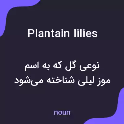 معنی plantain lilies به فارسی معنی plantain lilies به فارسی