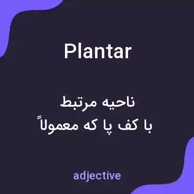 معنی plantar به فارسی معنی plantar به فارسی