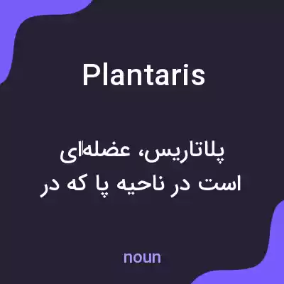 معنی plantaris به فارسی معنی plantaris به فارسی