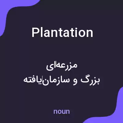 معنی plantation به فارسی معنی plantation به فارسی
