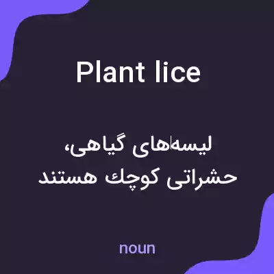 معنی plant lice به فارسی معنی plant lice به فارسی